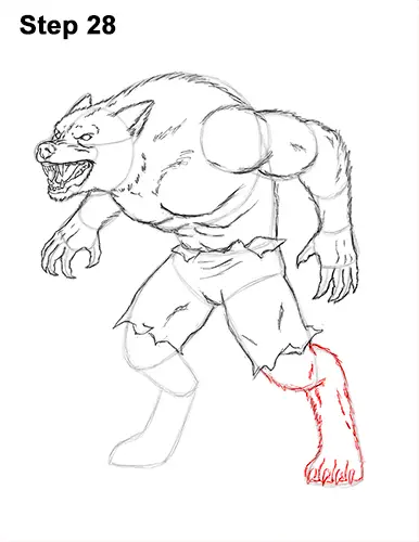 How to Draw Growling Snarling Scary Angry Werewolf 28