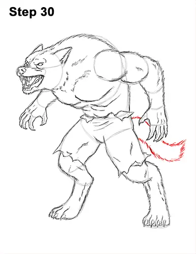 How to Draw a Werewolf