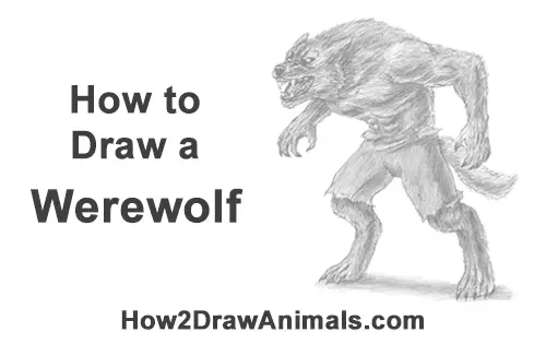 How to Draw Growling Snarling Scary Angry Werewolf