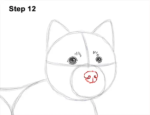 How to Draw a West Highland White Terrier Puppy Dog 12