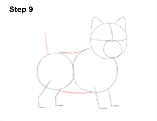 How to Draw a West Highland White Terrier Puppy Dog 9