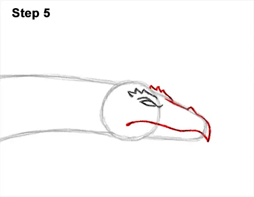 How to Draw a Wind Dragon Flying Wings 5