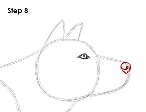 How to Draw a Wolf