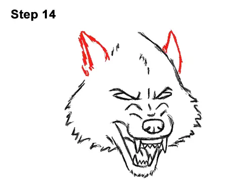 How to Draw a Wolf Growling (Cartoon)