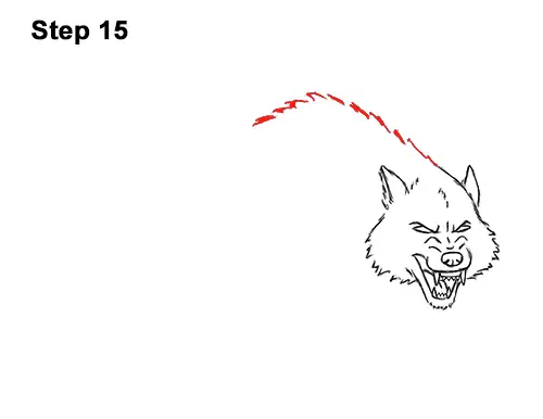 How to Draw a Wolf Growling (Cartoon)