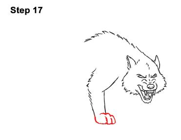 How to Draw a Wolf Growling (Cartoon) How to Draw a Wolf Growling (Cartoon)