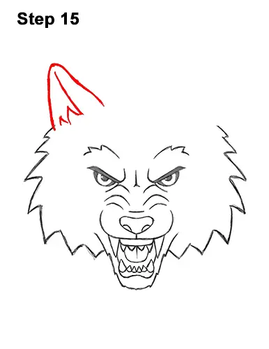 How to Draw Angry Growling Snarling Cartoon Wolf Head 15
