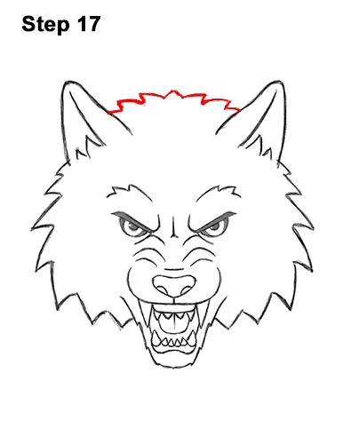How to Draw Angry Growling Snarling Cartoon Wolf Head 17