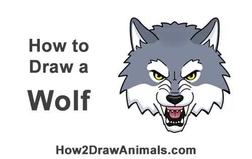 How To Draw A Wolf Head Cartoon Video Step By Step Pictures