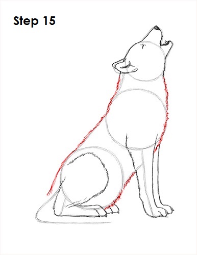 How to Draw a Wolf (Howling)