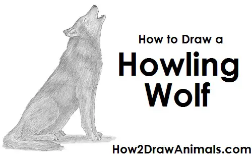Draw Wolf Howling