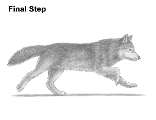 How To Draw A Wolf Running Video Step By Step Pictures