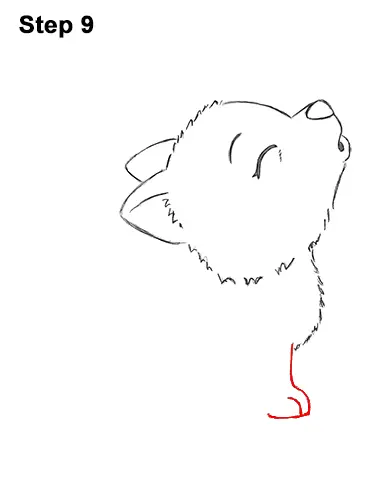 How to Draw Cute Little Cartoon Wolf Pup Cub Howling 9