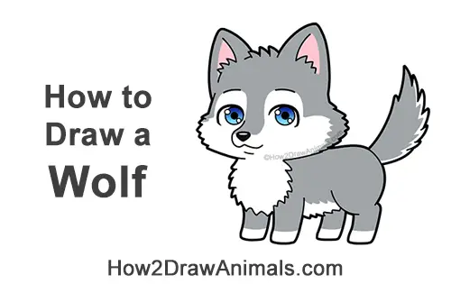 How to Draw a Cute Cartoon Gray Wolf Chibi Kawaii