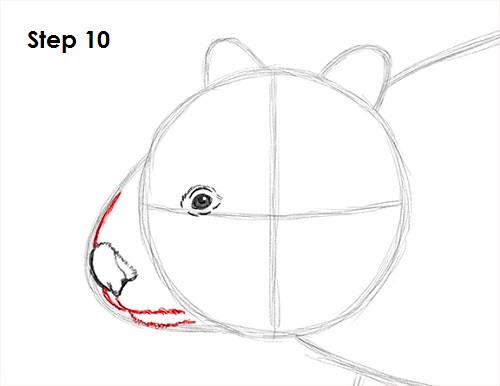 Draw Wombat 10