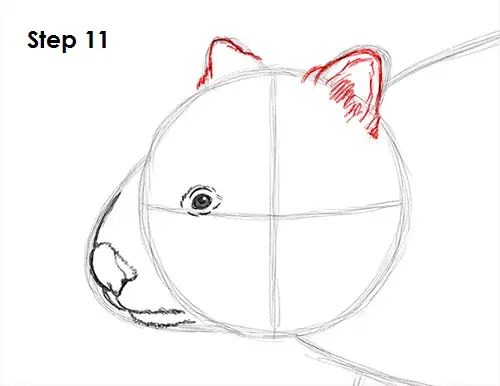 Draw Wombat 11
