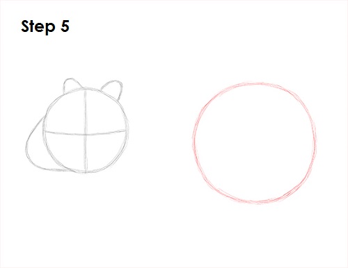 Draw Wombat 5