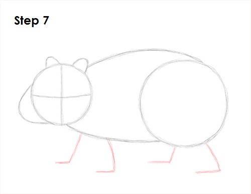 Draw Wombat 7