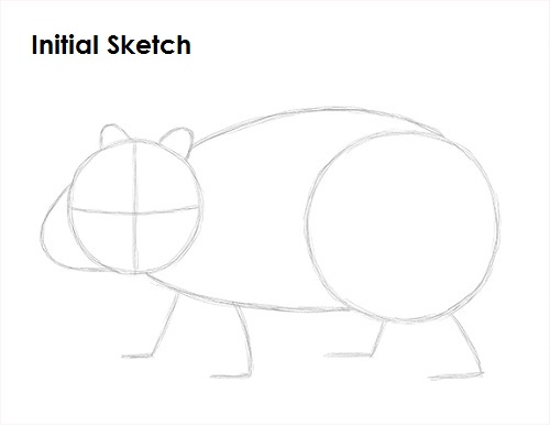 Draw Wombat