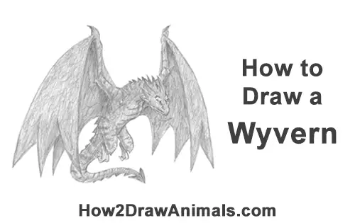 How To Draw A Wyvern