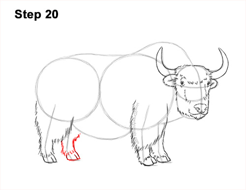 how to draw a yak video step by step pictures how to draw a yak video step by step