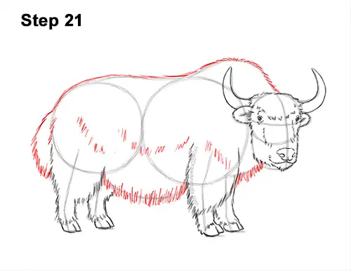 how to draw a yak video step by step pictures how to draw a yak video step by step