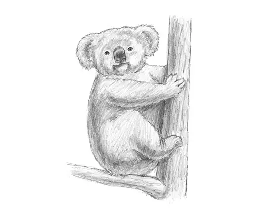 How to Draw a Koala Tree