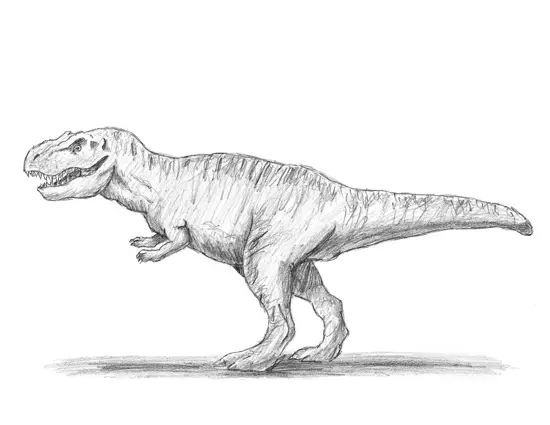 How to Draw a Tyrannosaurus Rex (T. rex)